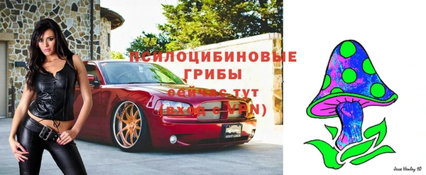 а пвп мука Алексин