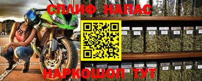 spice Камышлов